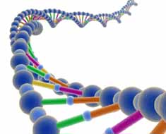 Gene Sequence