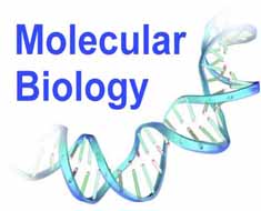 Molecular Biology